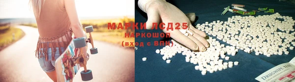 спиды Абаза
