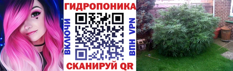 купить наркотик  ссылка на мегу вход  Бошки марихуана конопля  Серафимович 